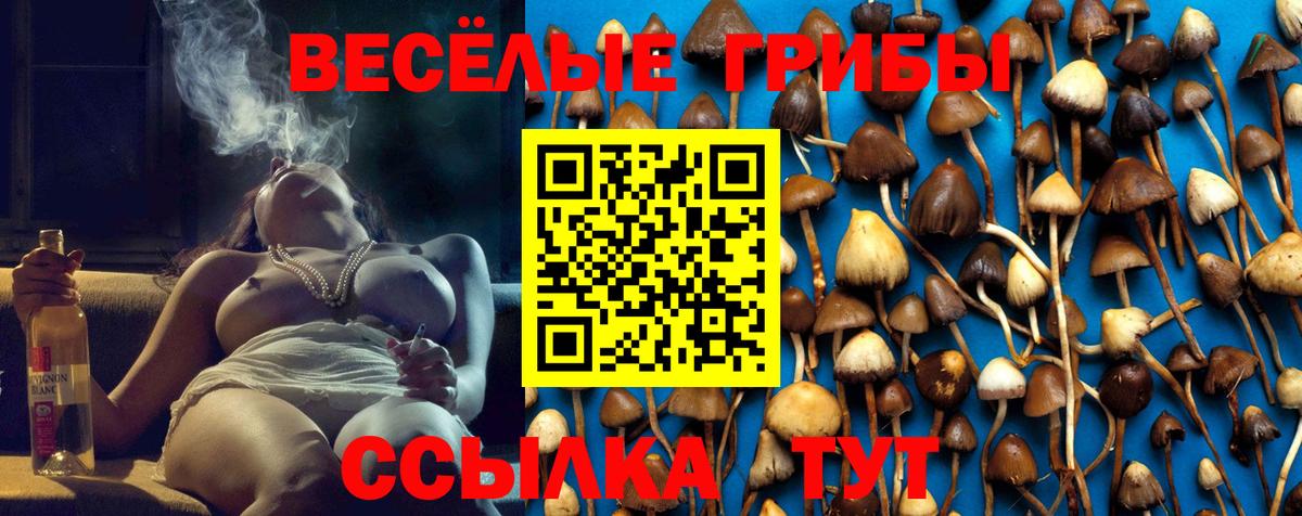 Нефтекумск  Псилоцибиновые грибы MAGIC MUSHROOMS  Вход с VPN 